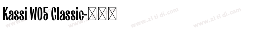 Kassi W05 Classic字体转换